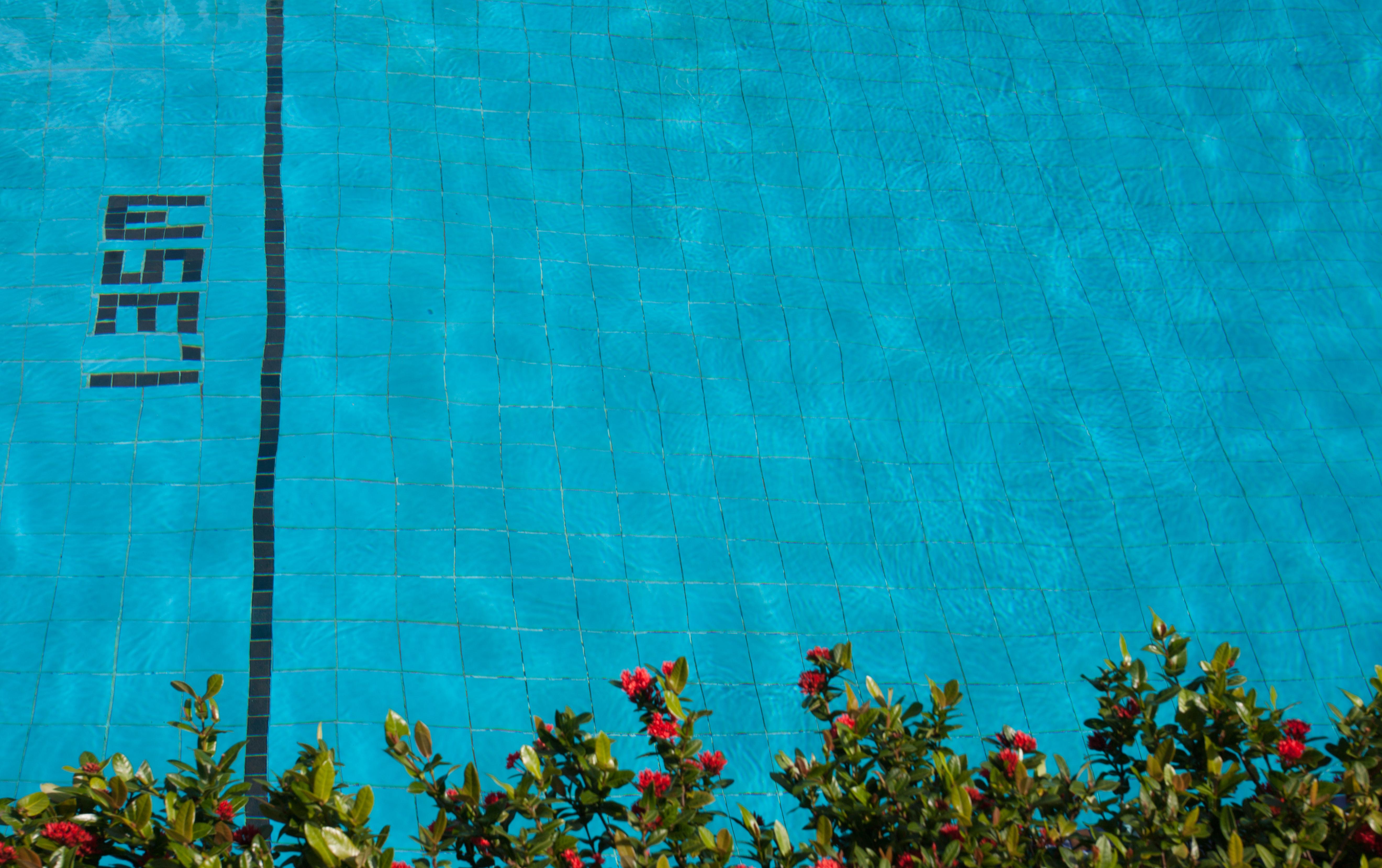 Merlin - Sha Phuket